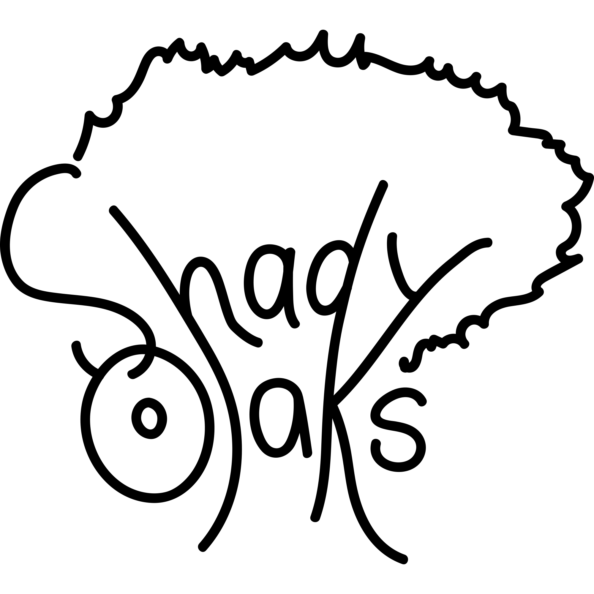 Shady Oaks band logo